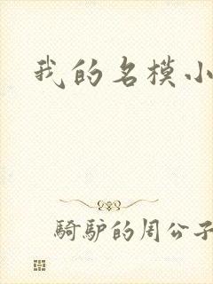 我的名模小娇妻