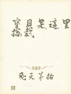 宝贝是这里对吗总裁