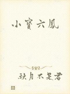 小宝六凤