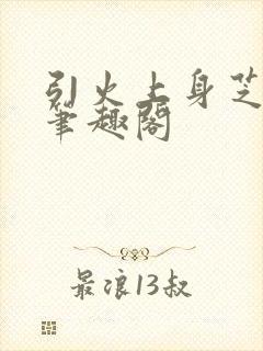 引火上身芝麻糖笔趣阁