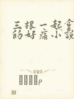 三根一起会坏掉的好痛小说