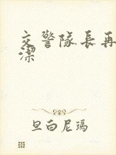 交警队长再遇白洁