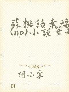 苏桃的幸福生活(np)小说笔趣阁沐沐