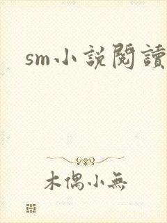 sm小说阅读