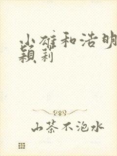 小雄和浩明夹击颖莉