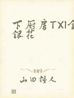 下厨房TXl金银花