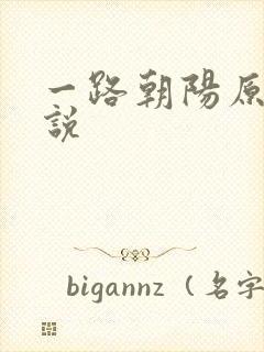 一路朝阳原著小说