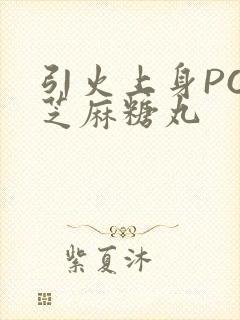 引火上身POP芝麻糖丸