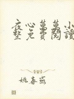 夜心万万小说完整免费阅读全文