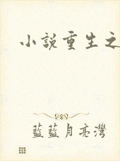 小说重生之官道