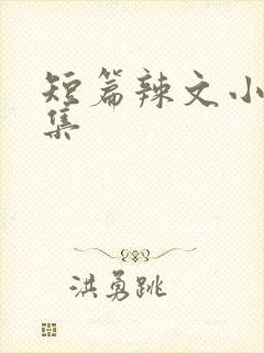 短篇辣文小说合集