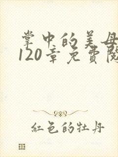 掌中的美母版主120章免费阅读