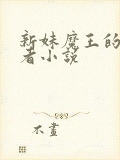新妹魔王的契约者小说