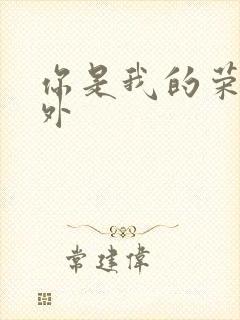 你是我的荣耀番外