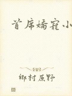 首席娇宠小情人