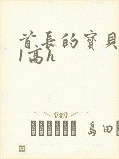 首长的宝贝1v1高h