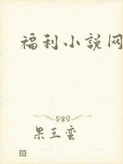 福利小说网