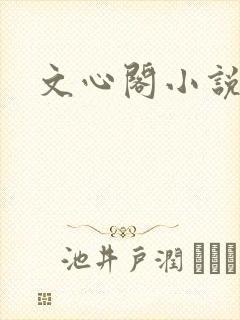 文心阁小说