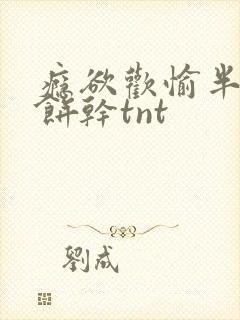 瘾欲欢愉半块小饼干tnt