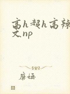 高h超h高辣h文np