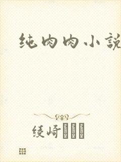 纯肉肉小说