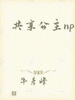 共享公主npc