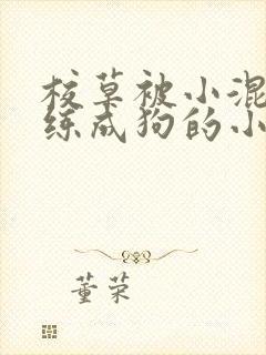 校草被小混混训练成狗的小说