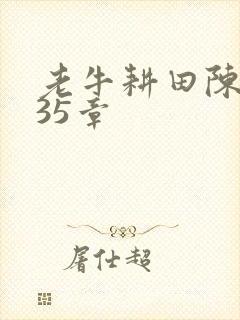 老牛耕田陈雪435章