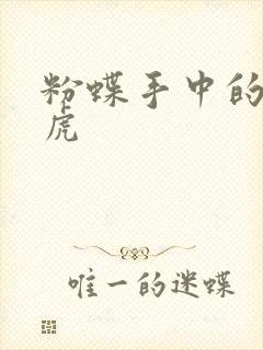 粉蝶手中的纸老虎