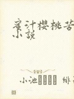 蜜汁樱桃苦咖啡小说