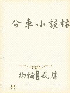 公车小说林蔓蔓