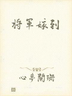 将军嫁到