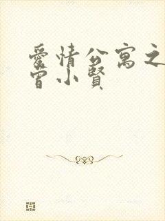 爱情公寓之极品曾小贤