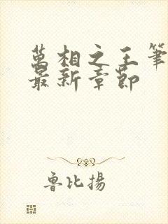 万相之王笔趣阁最新章节