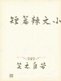 短篇辣文小说