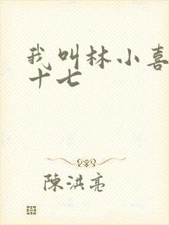 我叫林小喜今年十七