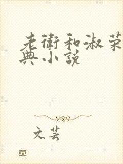 老卫和淑荣的经典小说