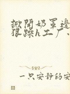 掀开奶罩边躁狠狠躁h工厂小说