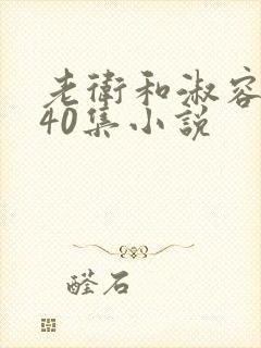 老卫和淑容1-40集小说