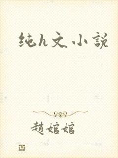 纯h文小说