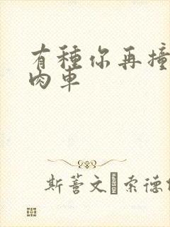 有种你再撞一下肉车