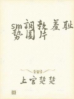 sm调教羞耻姿势图片