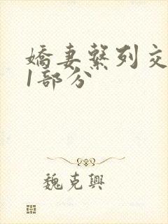 娇妻系列交换11部分