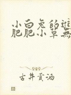 小白兔的进化史肥肥小草无防盗