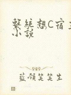 系统想C宿主的小说