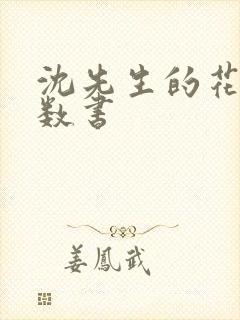 沈先生的花式调数书