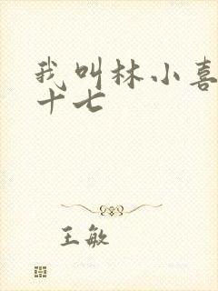 我叫林小喜今年十七