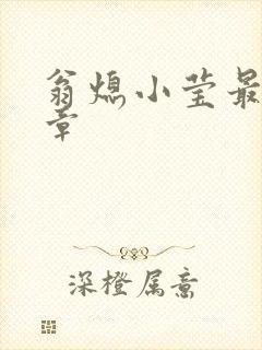 翁熄小莹最新节章