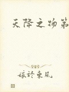 天降之物第一季