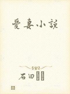 爱妻小说